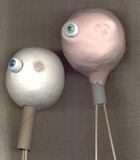 Augen