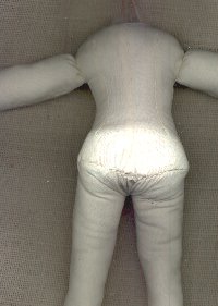 Der Körper von hinten