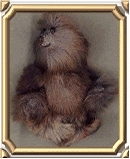 No. 33